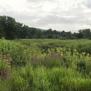 Meet your Posher, Anika